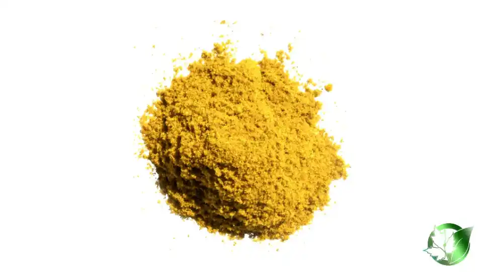 Bulk Curry Powder | Suppliers | Wholesale | ParsaFood Global